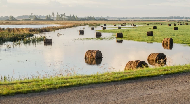Å ogad LatgalÄ un daÄ¼Ä Vidzemes lauki pÄrplÅ«da, bet pirms pÄris gadiem bija sausums.
