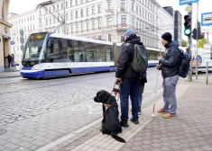 Стало известно, как будет курсировать общественный транспорт в Риге в субботу, 8 ноября