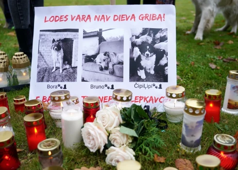 PVD materiālus par klaiņojošajiem un vēlāk nošautajiem suņiem Brunavas pagastā nodevis atpakaļ pašvaldības policijai. 