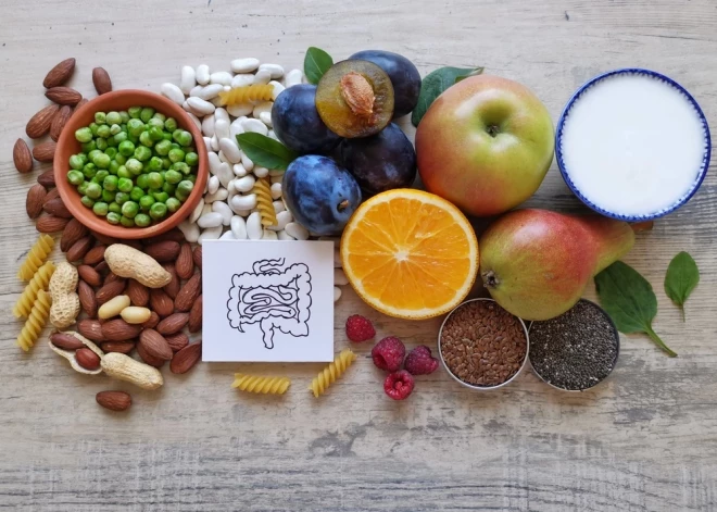 Пища, которая лечит, и та, что разрушает: что действительно полезно для вашего микробиома