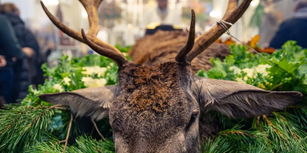 Beigta brieža priekšā arhibīskaps Skaistkalnē svētī medniekus un viņu suņus. 