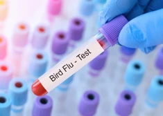 PVD предупредила жителей Латвии о распространении в стране опасной болезни