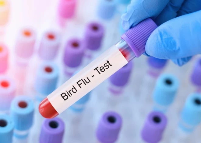 PVD предупредила жителей Латвии о распространении в стране опасной болезни