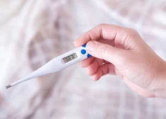 Slimību profilakses un kontroles centrs: gripas izplatība saglabājas zemā līmenī