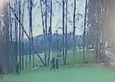 Privātmājas saimniece šokā: ja kādam vēl ir šaubas, ka Latvijas budžetam jābūt par drošību, noskatieties šo VIDEO