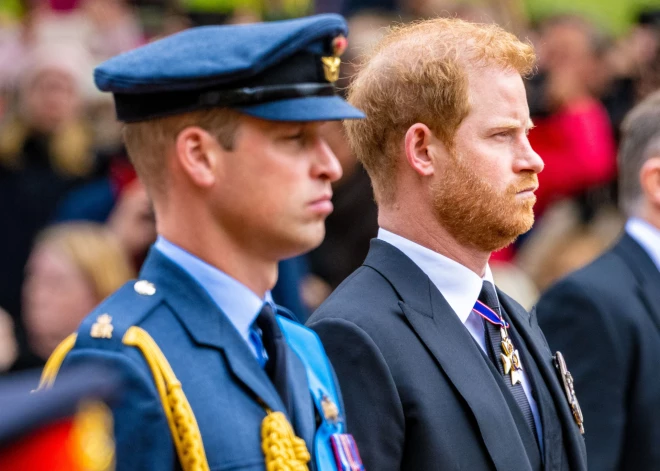 Bekingemas avoti: princis Harijs varētu būt nākamais, kuram atņems karalisko titulu