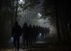 Хозяйка частного дома в шоке: если у кого-то есть сомнения, что Латвии надо думать о безопасности, посмотрите это ВИДЕО