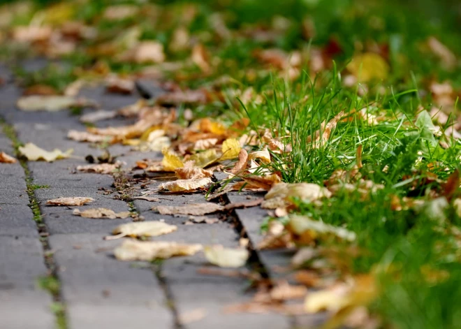 Dārzu un parku atkritumu kompostēšanas vietas Ķekavas novadā būs atvērtas līdz decembrim
