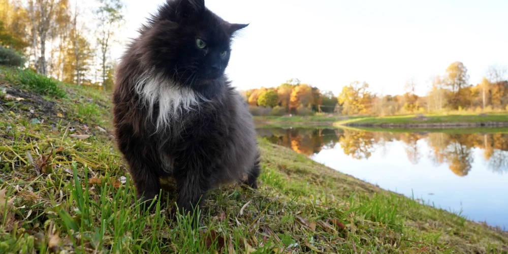 Иллюстративное фото.