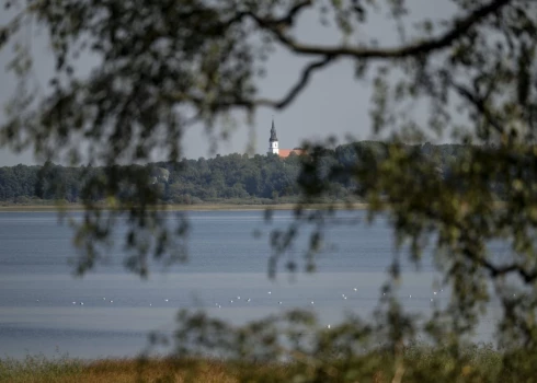 Jau sesto gadu veikta Burtnieka piekrastes ūdensaugu pļaušana. 