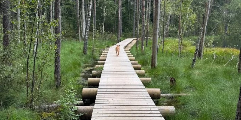 Noskaidroti šī gada aktīvākie “Latvijas meža dēkaiņi”.