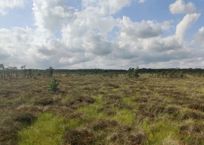 Noskaidroti šī gada aktīvākie “Latvijas meža dēkaiņi”.