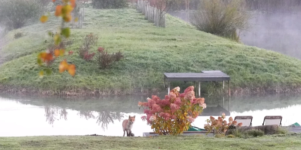 Иллюстративное фото.