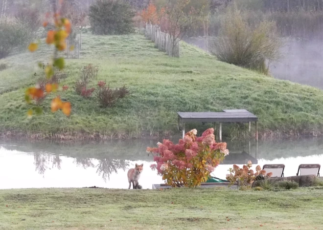 В субботу местами в Латвии ожидается густой туман
