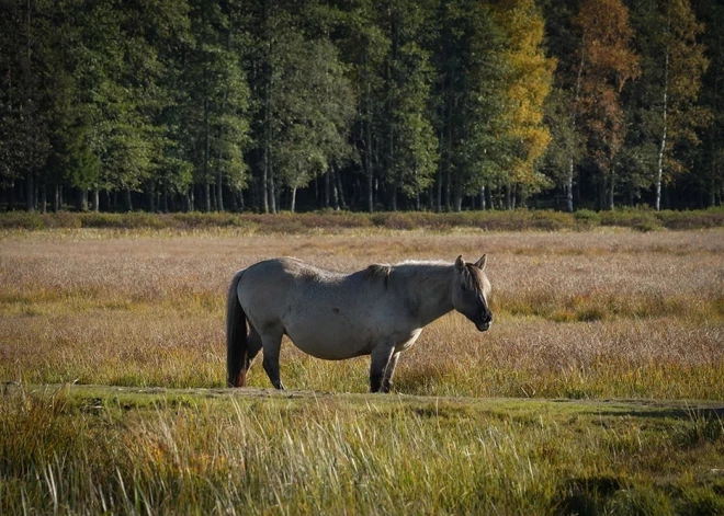 Рабочая суббота будет облачной и сухой, на юге выглянет солнце