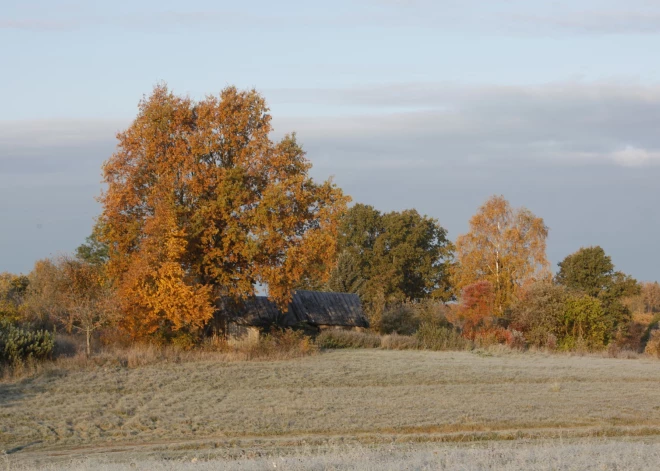 Пасмурное воскресенье: Латвию окутает туман и облака