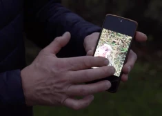 Silmalas ciema suņus noplosījis nezināms plēsējs. "Sunītis tika nests 800 metrus kopā ar visu būdu!"