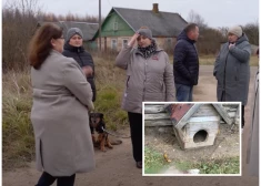Silmalas ciema suņus noplosījis nezināms plēsējs. "Sunītis tika nests 800 metrus kopā ar visu būdu!"