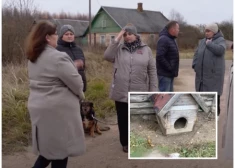 "Собачку утащили на 800 метров вместе с будкой!" В Резекненском крае собак разорвал неизвестный хищник