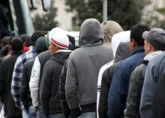 Пригрозив депортацией, в Европарламенте призвали сирийцев покинуть ЕС и вернуться на родину