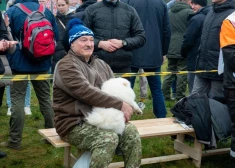 Европа готовит новый пакет санкций. В этот раз он будет необычный