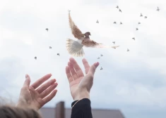 Урок, который надо усвоить: путь вашей души по знаку зодиака