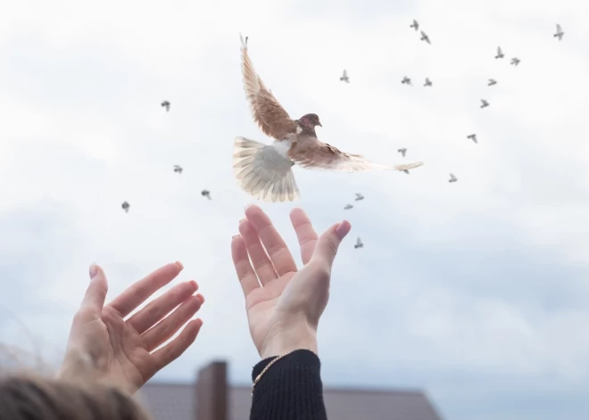 Урок, который надо усвоить: путь вашей души по знаку зодиака