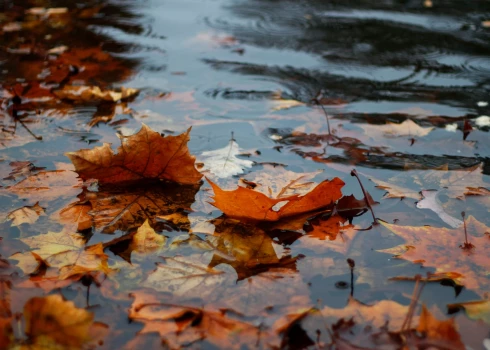 Pirmdien daudzviet Latvijā - īpaši Kurzemē un Vidzemē - gaidāms lietus.