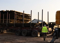 "Sadales tīkls" piegādās koka balstus Igaunijas uzņēmumam "Elektrilevi"