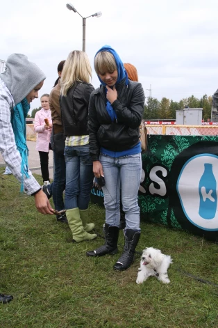 2009. gada rudens – dziedātāja Aija Andrejeva ar savu Maltas zīda sunīti Dadu Biķernieku trasē, kur risinājās autosacīkstes.