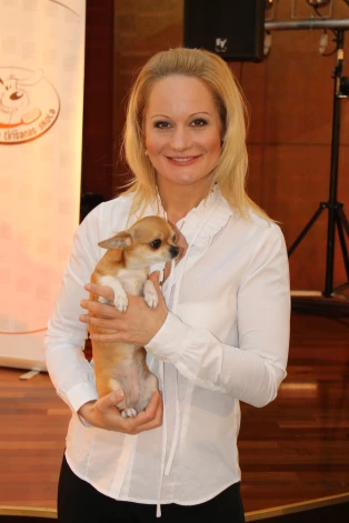 2014. gads. Skaistuma salona "BBbinnija" īpašniece un TV raidījumu vadītāja Binnija Ārberga ar čivavas kucīti Klāru, ar kuru pat kopā vadīja pasākumus.