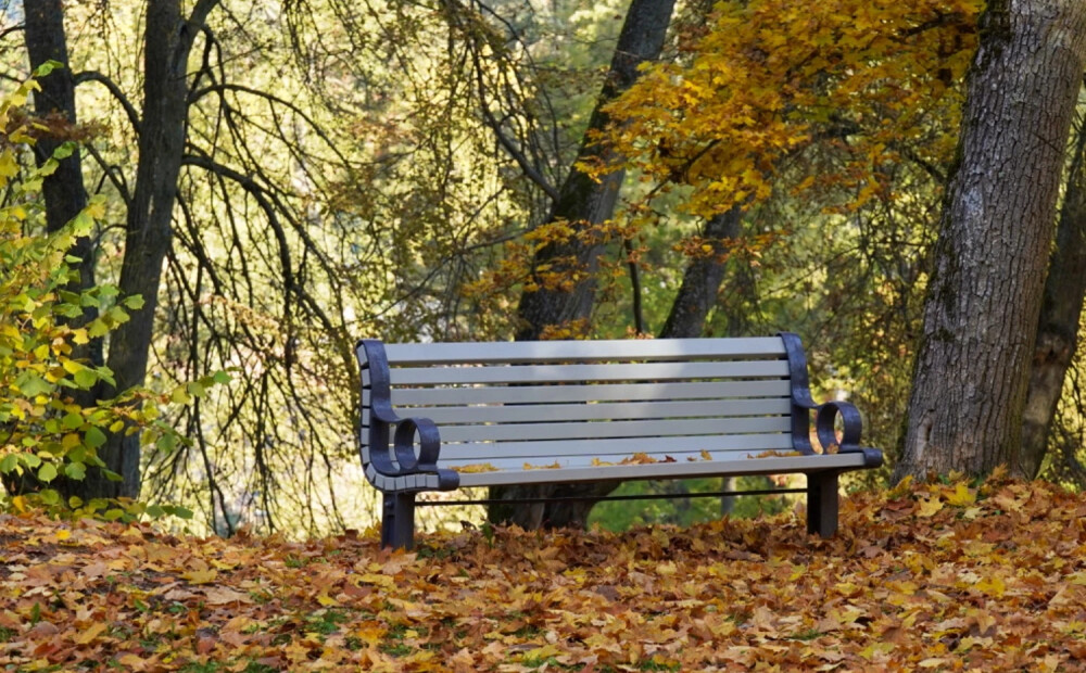 Pirmajā nedēļā rīdzinieki nodevuši 967 tonnas lapu