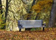 Pirmajā nedēļā rīdzinieki nodevuši 967 tonnas lapu