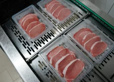 Austrumu pierobeža – vieta, kur ražo un attīstās: Rēzeknes gaļa un Alūksnes putni