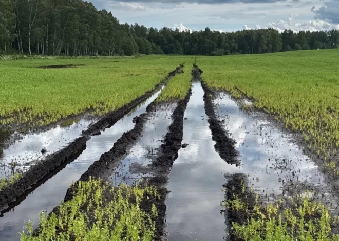 100 миллионов убытков: сельское хозяйство Латвии страдает третий год подряд - поможет ли ЕС?