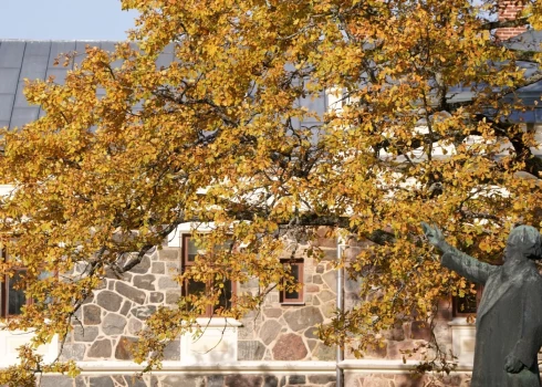 Иллюстративное фото.