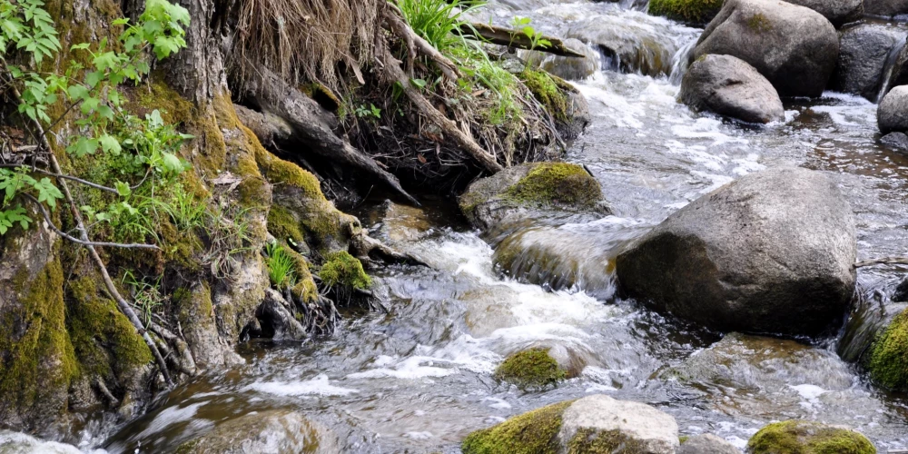 Bornes upīte Lielbornē, Salienas pagastā.