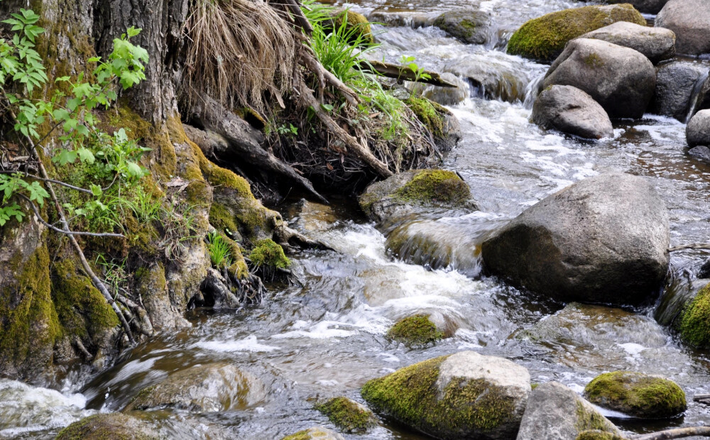 Aicina piedalīties aptaujā par ūdeņu kvalitāti Latvijā