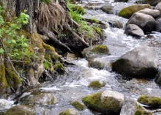 Aicina piedalīties aptaujā par ūdeņu kvalitāti Latvijā