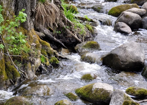 Bornes upīte Lielbornē, Salienas pagastā.