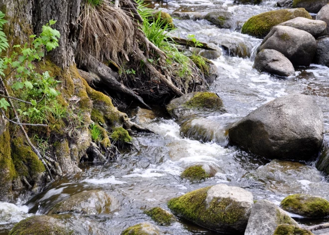 Aicina piedalīties aptaujā par ūdeņu kvalitāti Latvijā