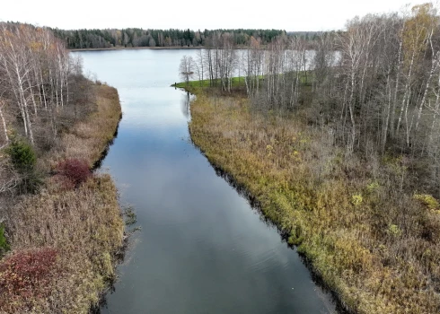 Иллюстративное фото.