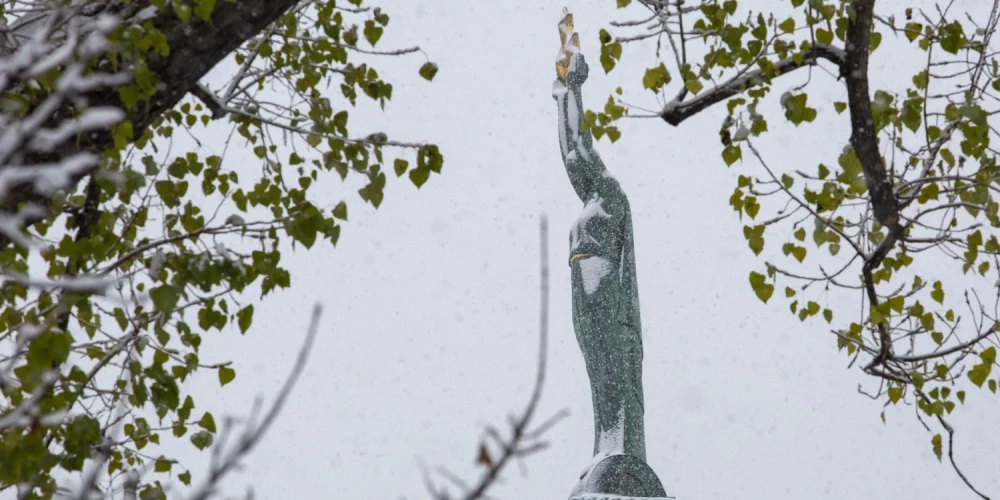 Иллюстративное фото.