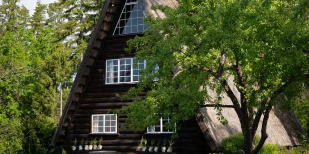 Neapmierināts ar finansēšanas modeli, Ziedoņa muzejs piedāvā nodot savu krājumu valstij.