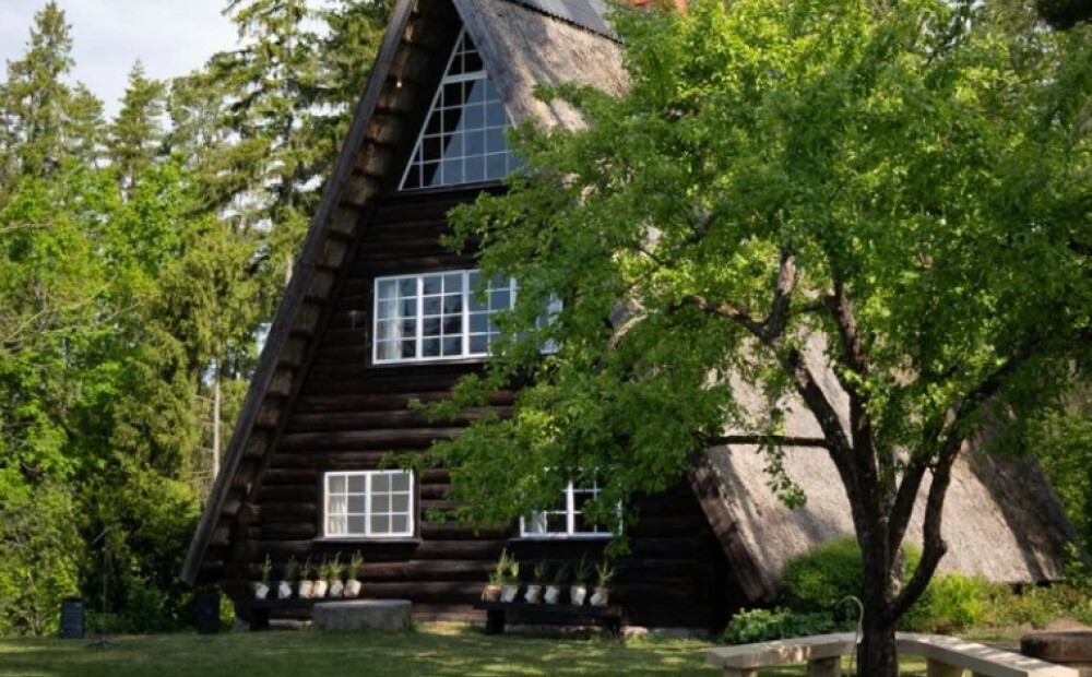 Ziedoņa muzejs nonācis uz izdzīvošanas robežas – trūkst valsts atbalsta