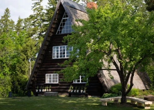 Neapmierināts ar finansēšanas modeli, Ziedoņa muzejs piedāvā nodot savu krājumu valstij.