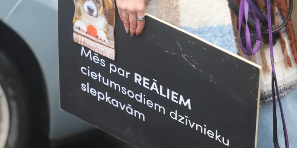 Suņu nošaušanas lietā Bauskas novadā četras personas varētu tikt sauktas pie kriminālatbildības.