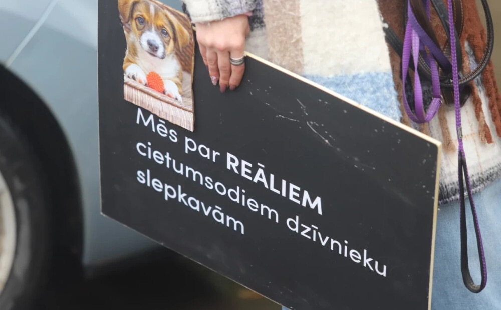 Par suņu nošaušanu Bauskas novadā kriminālatbildība var draudēt četrām personām