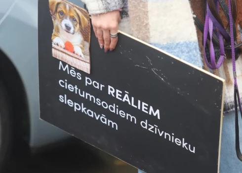 Suņu nošaušanas lietā Bauskas novadā četras personas varētu tikt sauktas pie kriminālatbildības.