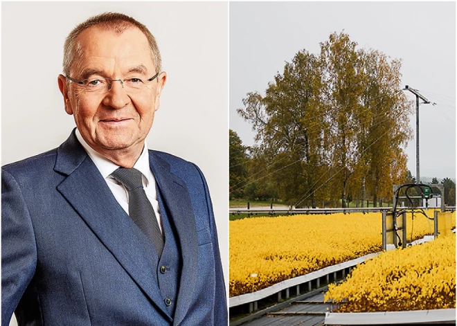 Indulis Kovisārs: "Mežs ir drošāka vieta par vienu otru banku, kur veidot uzkrājumus nākotnei"